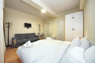 Отель Hotel Vorontsov Inn Тбилиси Большой двухместный номер с 1 кроватью-9